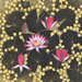 Reiji Hiramatsu Gallery